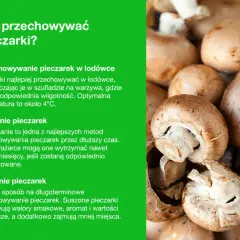 Jak przechowywać pieczarki: w lodówce, mrożone lub suszone. Świeże pieczarki najlepiej trzymać w szufladzie na warzywa.