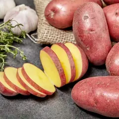 Kilka czerwonych ziemniaków, jeden pokrojony w plastry, obok czosnku i ziół.