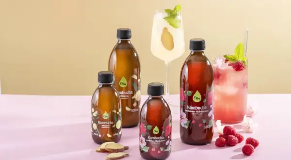 Kombucha: Na co działa? Fakty i mity o zdrowym napoju