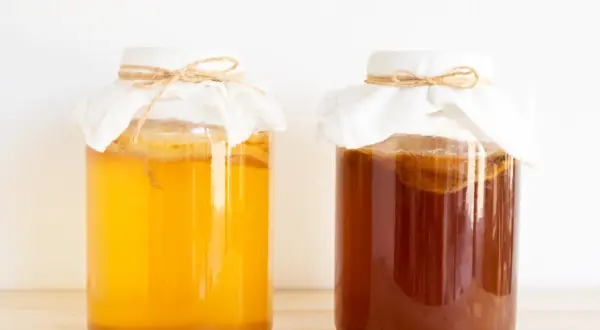 Kombucha: ile może stać? Sekrety świeżości i bezpiecznego picia