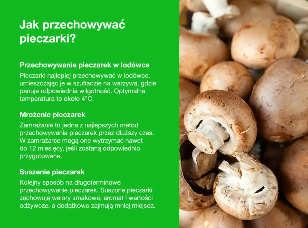 Jak przechowywać pieczarki? Sekrety świeżości na dłużej!